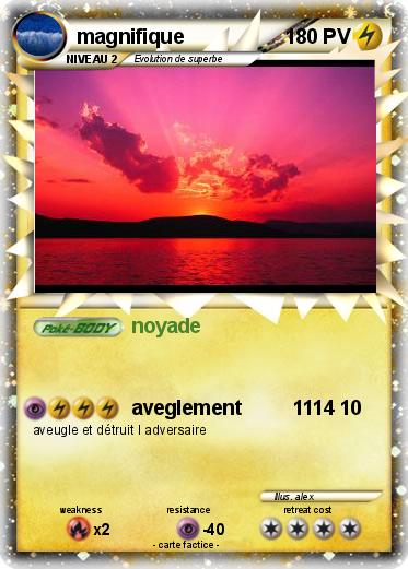 Pokemon magnifique