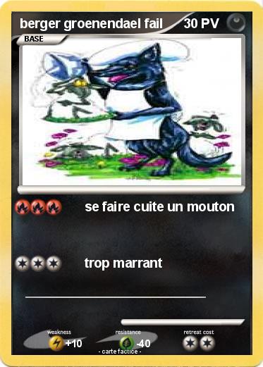 Pokemon berger groenendael fail