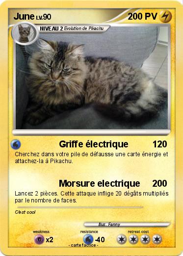 Pokemon June