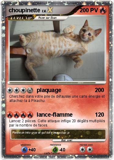 Pokemon choupinette