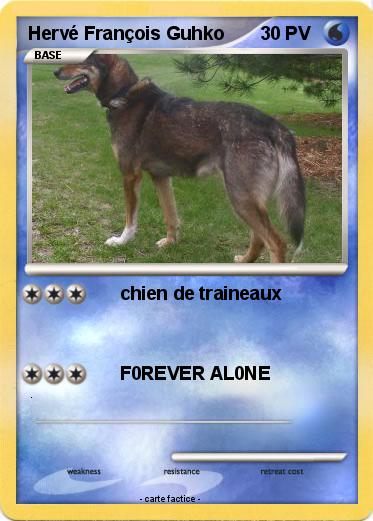 Pokemon Hervé François Guhko