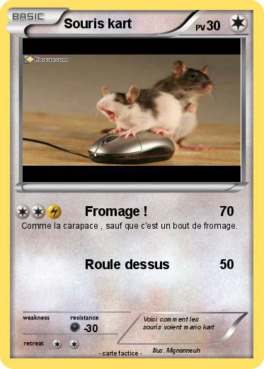 Pokemon Souris kart