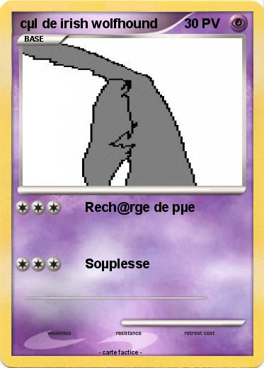 Pokemon cµl de irish wolfhound
