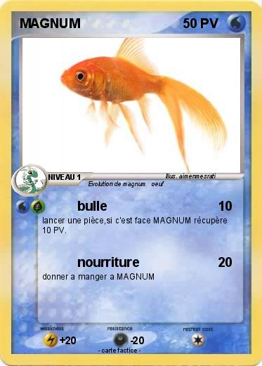 Pokemon MAGNUM