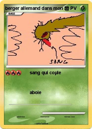 Pokemon berger allemand dans mon @