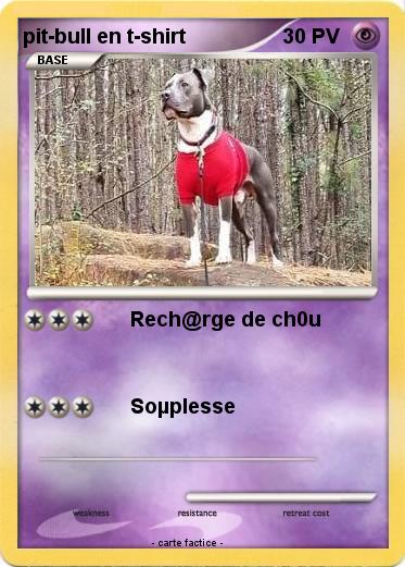 Pokemon pit-bull en t-shirt