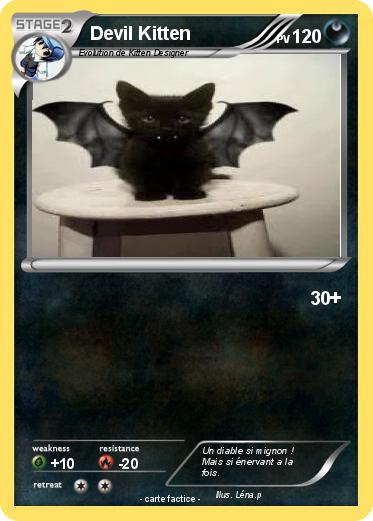 Pokemon Devil Kitten