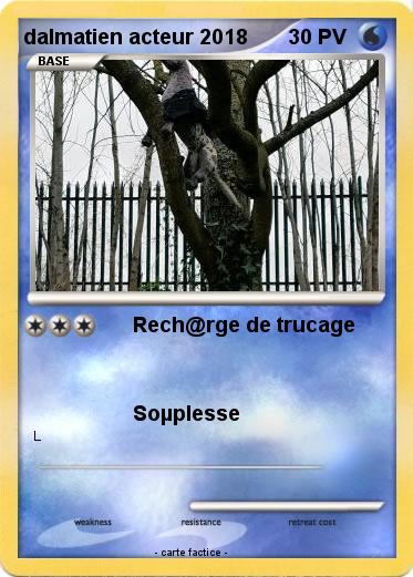 Pokemon dalmatien acteur 2018