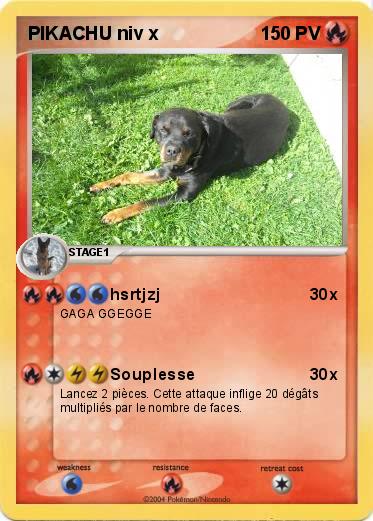 Pokemon PIKACHU niv x