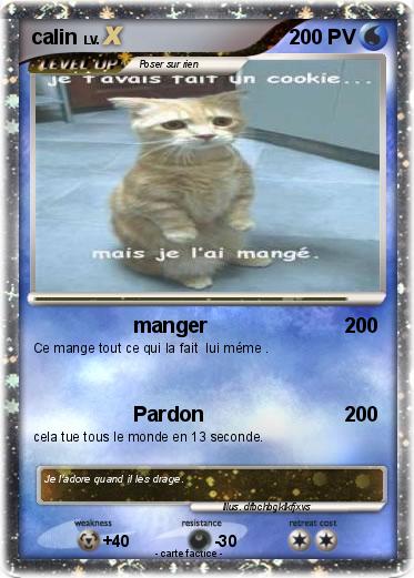 Pokemon calin