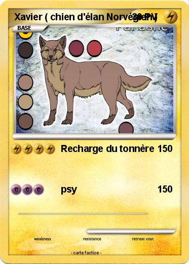 Pokemon Xavier ( chien d'élan Norvégien )