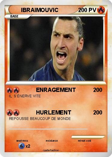 Pokemon IBRAIMOUVIC