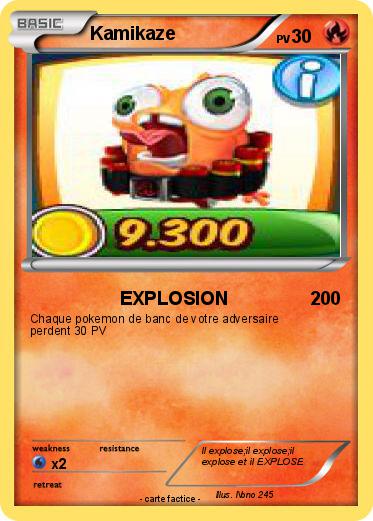 Pokemon Kamikaze