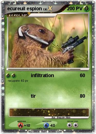 Pokemon ecureuil espion
