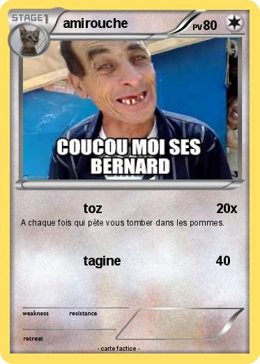 Pokemon amirouche