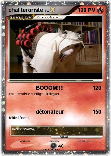 Pokemon chat teroriste