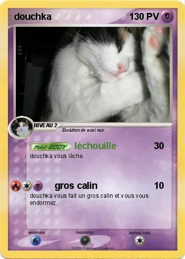 Pokemon douchka