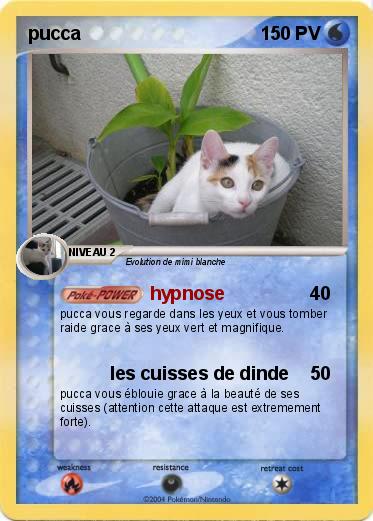 Pokemon pucca