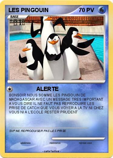 Pokemon LES PINGOUIN