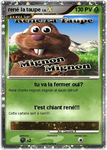 Pokemon rené la taupe