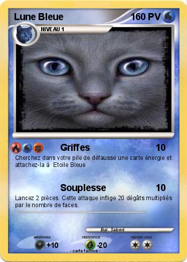 Pokemon Lune Bleue