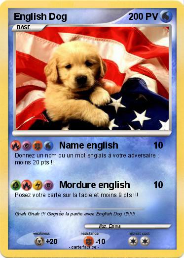 Pokemon English Dog