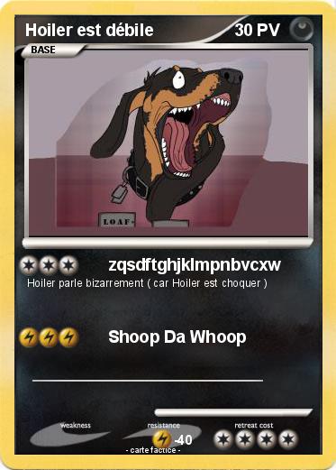 Pokemon Hoiler est débile