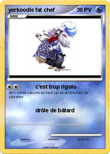 Pokemon yorkoodle fat chef