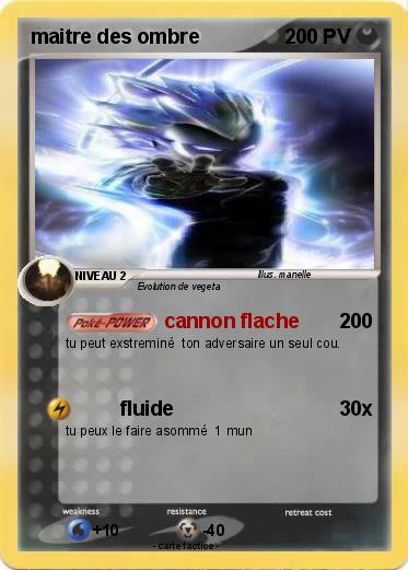 Pokemon maitre des ombre