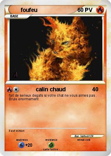 Pokemon foufeu