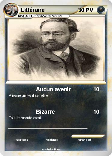 Pokemon Littéraire