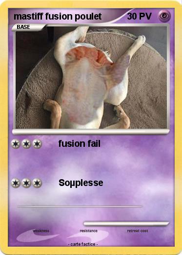 Pokemon mastiff fusion poulet