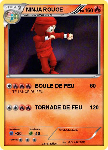 Pokemon NINJA ROUGE