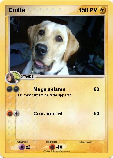 Pokemon Crotte
