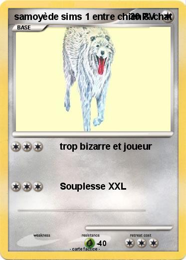 Pokemon samoyède sims 1 entre chien & chat