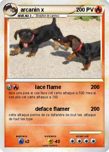 Pokemon arcanin x
