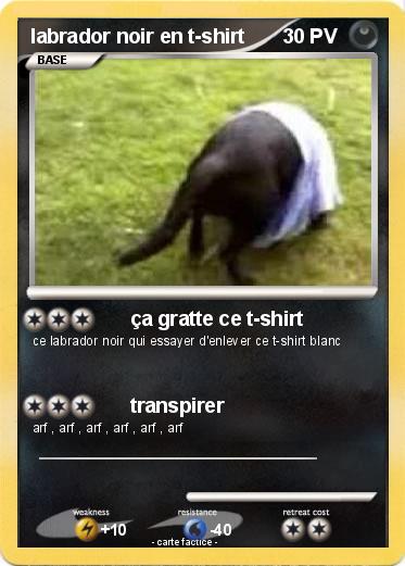 Pokemon labrador noir en t-shirt