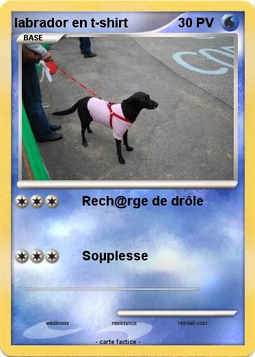 Pokemon labrador en t-shirt