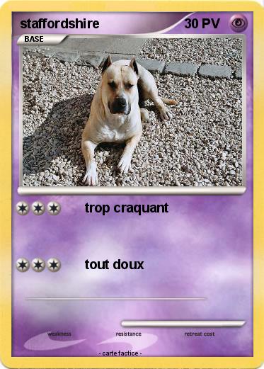 Pokemon staffordshire