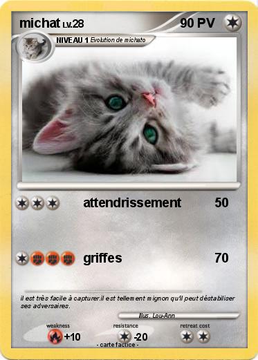 Pokemon michat