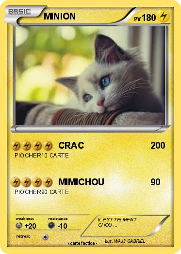Pokemon MINION
