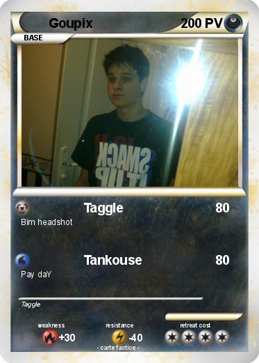Pokemon Goupix
