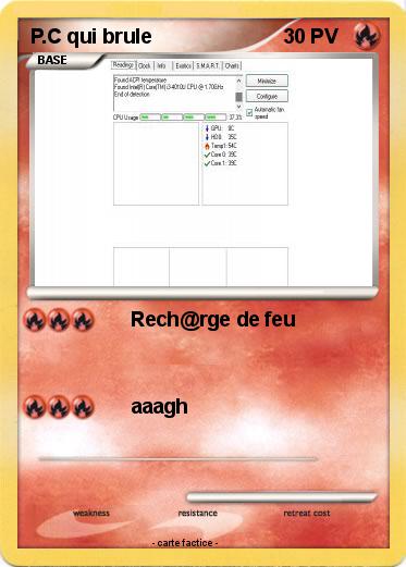 Pokemon P.C qui brule