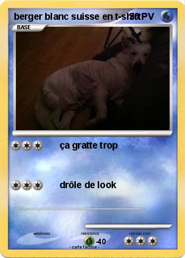 Pokemon berger blanc suisse en t-shirt