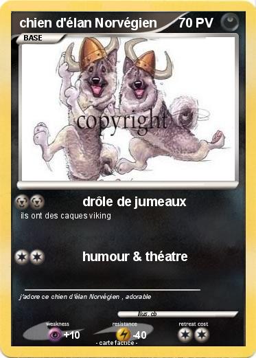 Pokemon chien d'élan Norvégien