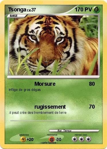 Pokemon Tsonga