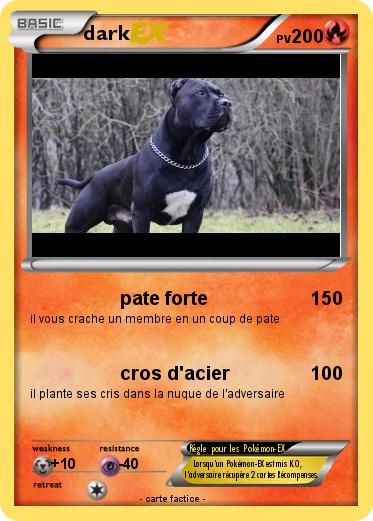 Pokemon dark
