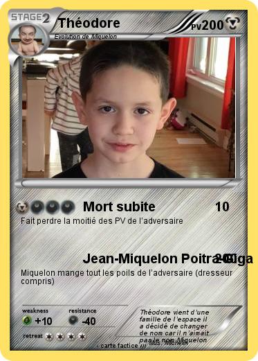 Pokemon Théodore