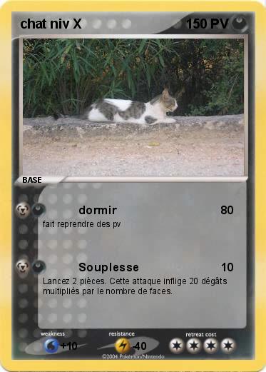 Pokemon chat niv X