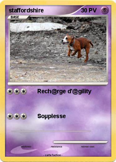 Pokemon staffordshire